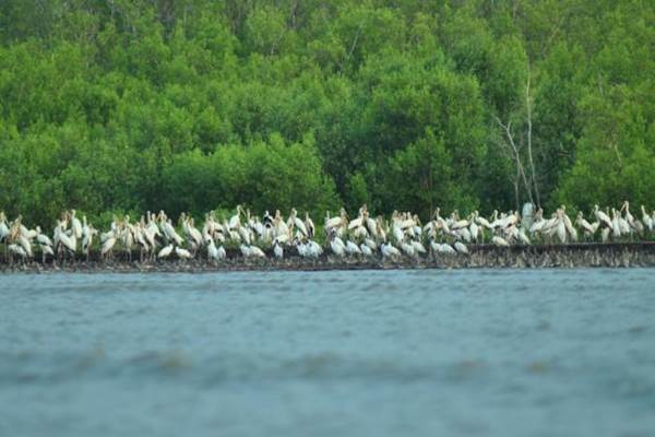 Taman Nasional Di Indonesia